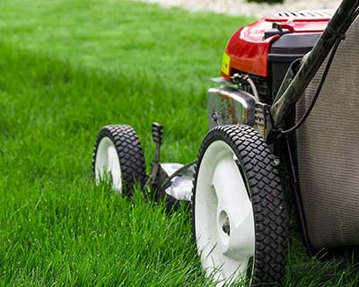 Lawn Mowing