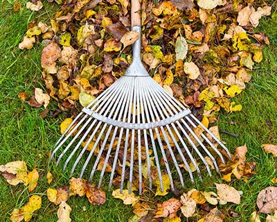Commercial Property Maintenance
